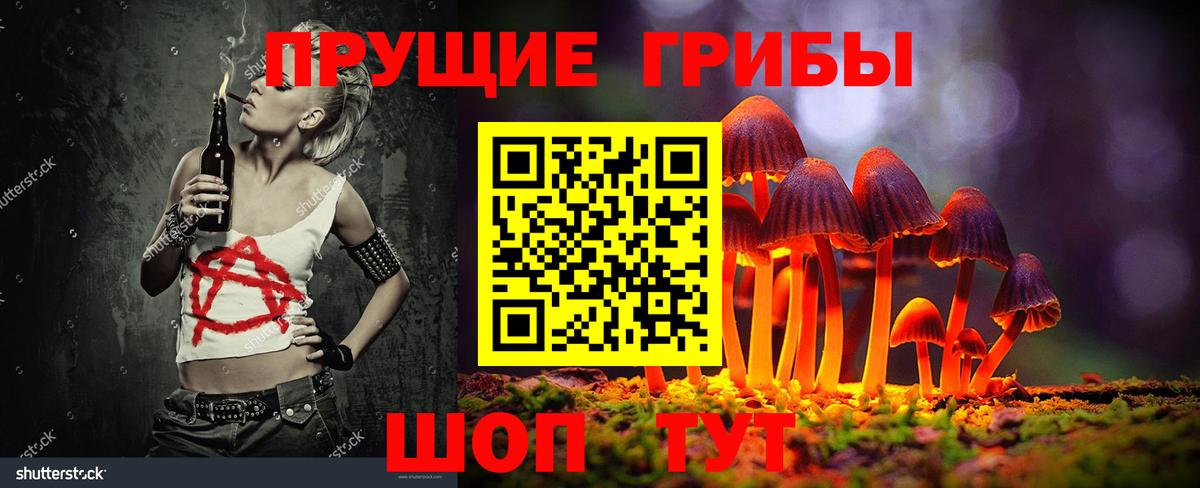 Галлюциногенные грибы Psilocybe Нововоронеж